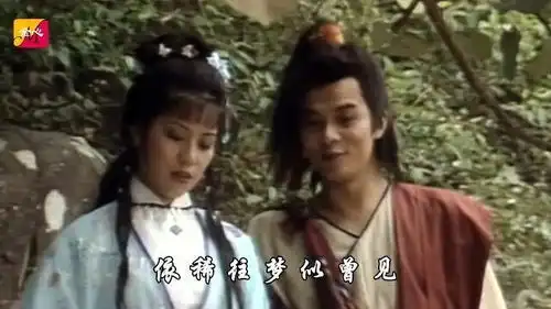 铁血丹心射雕英雄传
