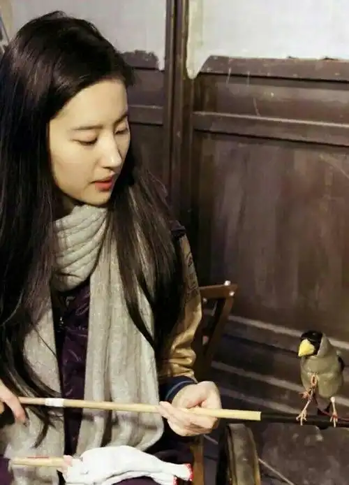 刘亦菲新剧南烟斋笔录曝光新剧照海报写真造型惊艳引关注
