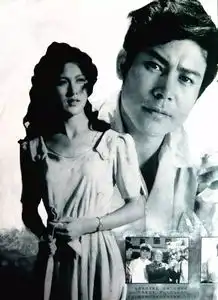 观众喜爱的80年代演员刘冬,从亲缘到笑傲江湖,美丽依旧
