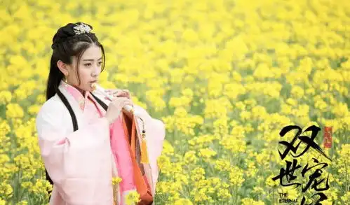 双世宠妃1剧照影视工业