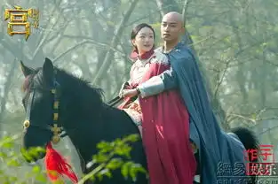 陈晓宫锁沉香护花周冬雨
