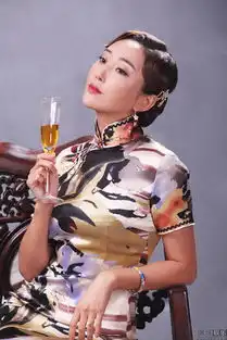 杜若溪勇敢的心曝旗袍剧照
