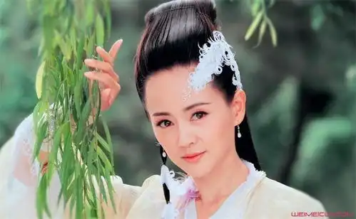 张定涵怎么看上王志飞年龄差15岁很恩爱
