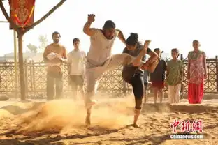 摔跤吧爸爸片名竟靠网友投票,不跳舞口碑却很好
