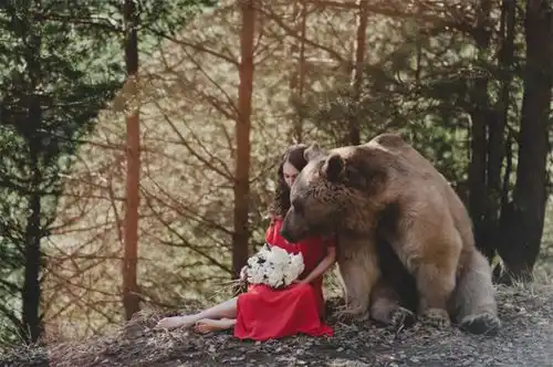 摄影师创造迷人的童话故事,与野生动物一起拍照