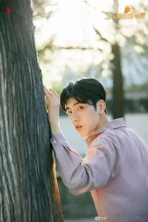 怪你过分美丽王子异特辑上线我在颐和园等你发布丸子剧照
