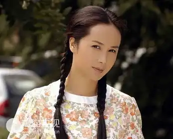 李易峰范冰冰赵薇刘诗诗明星pk谁是收视之王