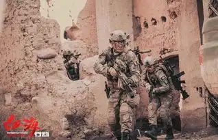 从湄公河行动到红海行动既是军旅片,也是现实片沸腾