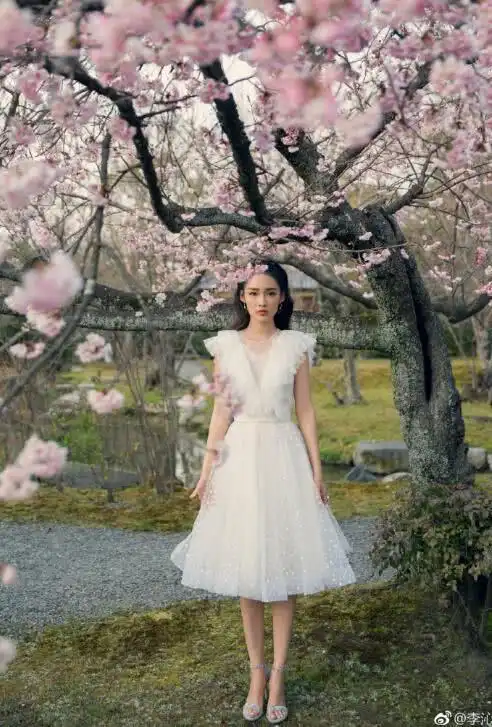 李沁模仿杨颖的樱花,效果不尽人意,网友仙子气质很重要