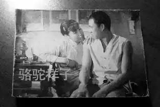 老舍人活着,要有情趣并且干净
