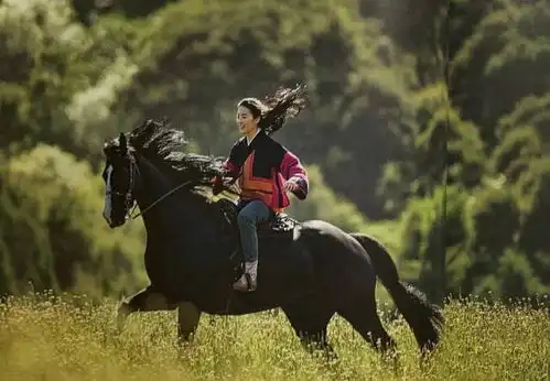 刘亦菲扮女骑兵,电影花木兰再引议论,说英文的花木兰很出戏
