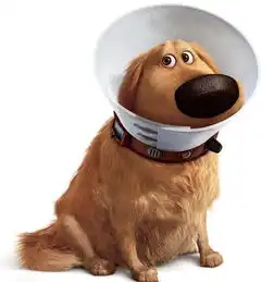 飞屋环游记美国2009年皮克斯动画工作室制作电影
