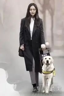 翻译官杨幂着装知性变身霸道女总裁
