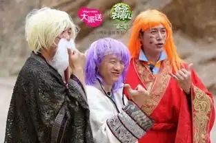 爸爸去哪儿第二季第十一期星爸导演变杀马特少女