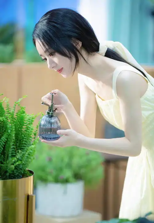 赵丽颖离婚后富二代排队追,冯绍峰独自在片场抹泪,后悔求复合
