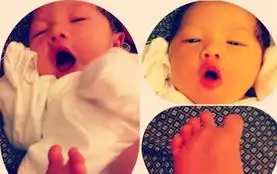 传朱茵怀二胎朱茵遇小三未婚先孕如狗血剧