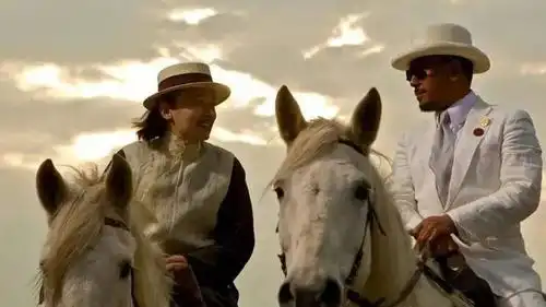 深度解析让子弹飞