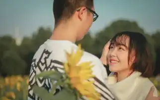 最后一次绽放这片杭州人最爱向日葵,错过要等无限期
