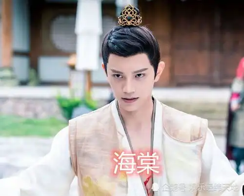 赵露思的粉丝名,盛英豪的粉丝名,看到丁禹兮起的真妙