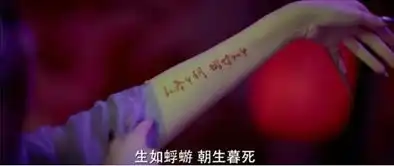 从场景设计到服装到特效实名吹爆媚者无疆剧组
