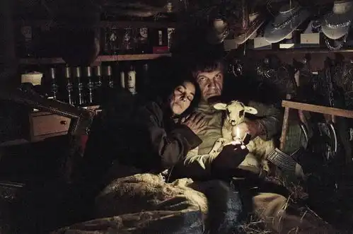 2021年中东欧国家优秀影片播映活动正式拉开帷幕