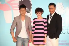 辣妈正传举行发布会孙俪张译明道陷三角恋
