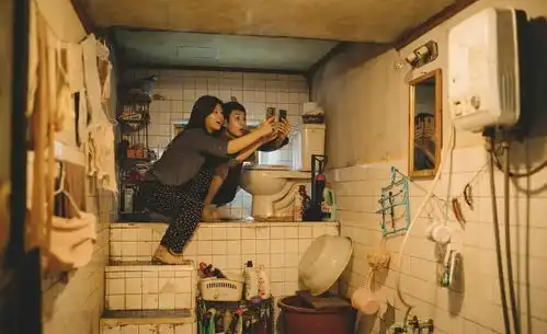 为什么寄生虫比小偷家族缺少温情
