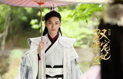 墨奕怀王瑞昌强势归来双世宠妃2定档1022