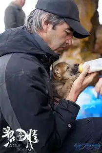 华语史诗巨制狼图腾曝光了一组小狼剧照,狼爸冯绍峰曾想收养