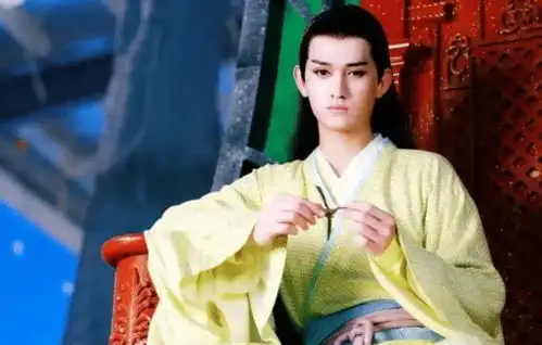 红得快,凉得更快的5位男明星,你还记得几个