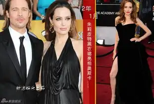 皮特朱莉10年修正果法国完婚手机新浪网
