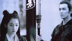 杨平日志第三集
