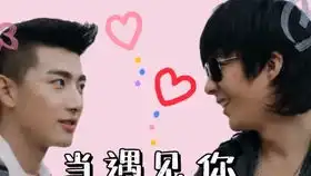 哔哩哔哩干杯bilibili