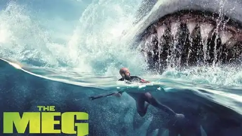 李冰冰在新西兰拍摄的巨齿鲨上演开出亮眼票房新西兰总理被批藉新生孩子提升民望澳洲及新西兰连手稳南太平洋但岛国反水倒向中国
