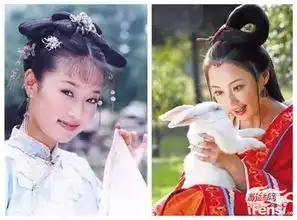 马伊琍与姚笛古装照比美谁完胜
