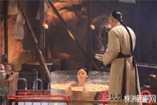 宫3狗血台词雷到爆宋连城被强奸时高喊来啊