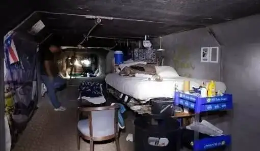 赌城拉斯维加斯的下水道里面,住着一群鼠族,每天只花3美金