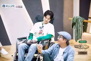 谁会知道,今年巅峰对决中的黑马竟然是李宇春
