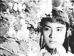 红楼梦网上定妆照