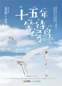 十五年等待候鸟曝海报张若昀孙怡领衔
