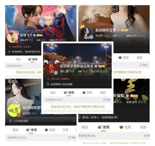 赵丽颖微博头像大全饭圈