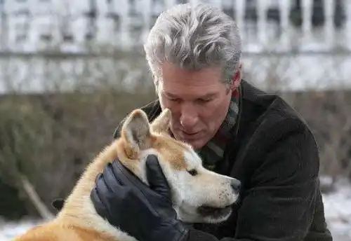 从忠犬八公的故事看爱的纯粹简单