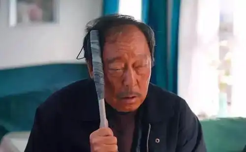 南来北往中的隐藏剧情,马燕是谁的女儿放羊的傻子是谁
