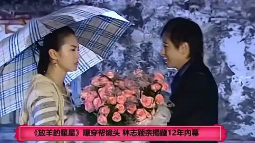 放羊的星星曝穿帮镜头林志颖亲揭藏12年内幕
