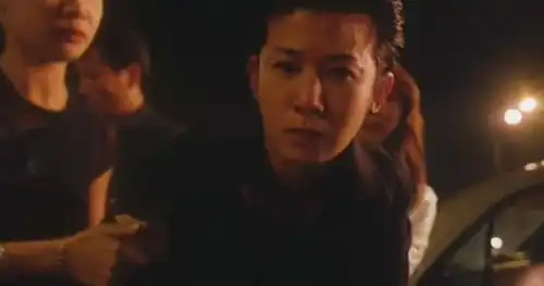 古惑仔情义篇之洪兴十三妹
