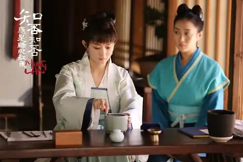 知否明兰拒绝好亲事,不愿辜负齐衡心意,顾廷烨再救盛明兰
