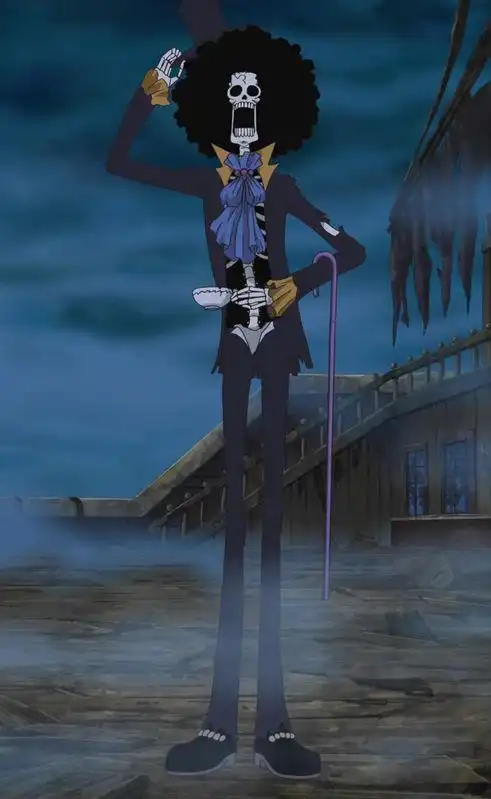 求海贼王布鲁克的图片40张
