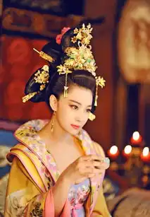 网友恶搞剪胸版武媚娘传奇
