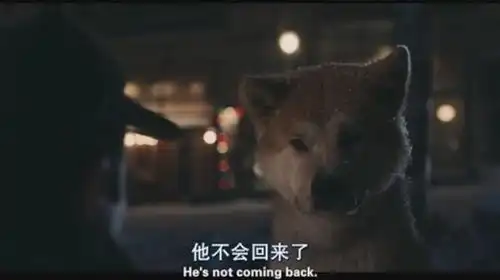 当命运再次兜售春光