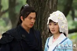 崔林参演影视剧照
